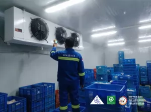 Harga Cold Storage: Solusi Terbaik untuk Kebutuhan Penyimpanan Anda